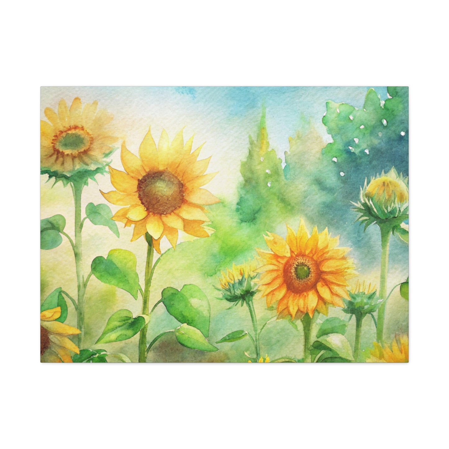 Sunflower Canvas Gallery Wraps