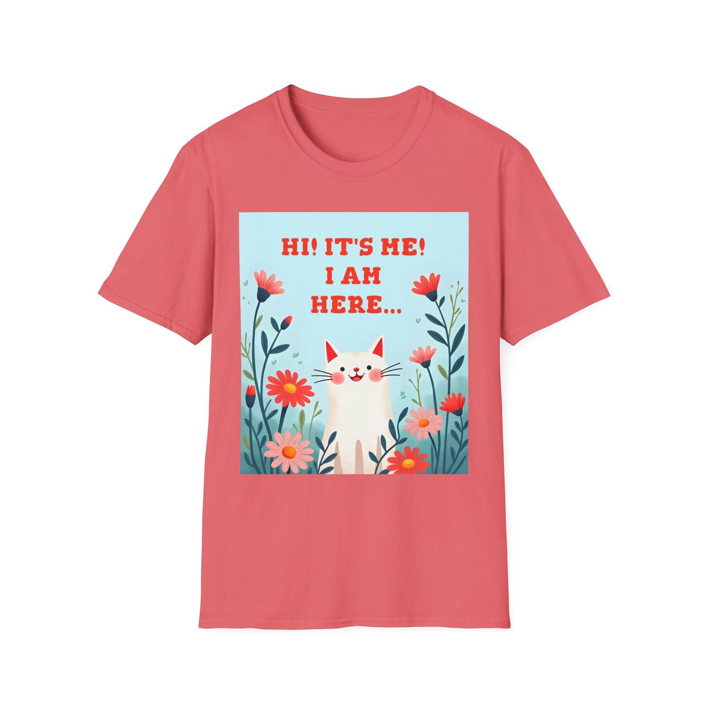 Kitty Is Here!