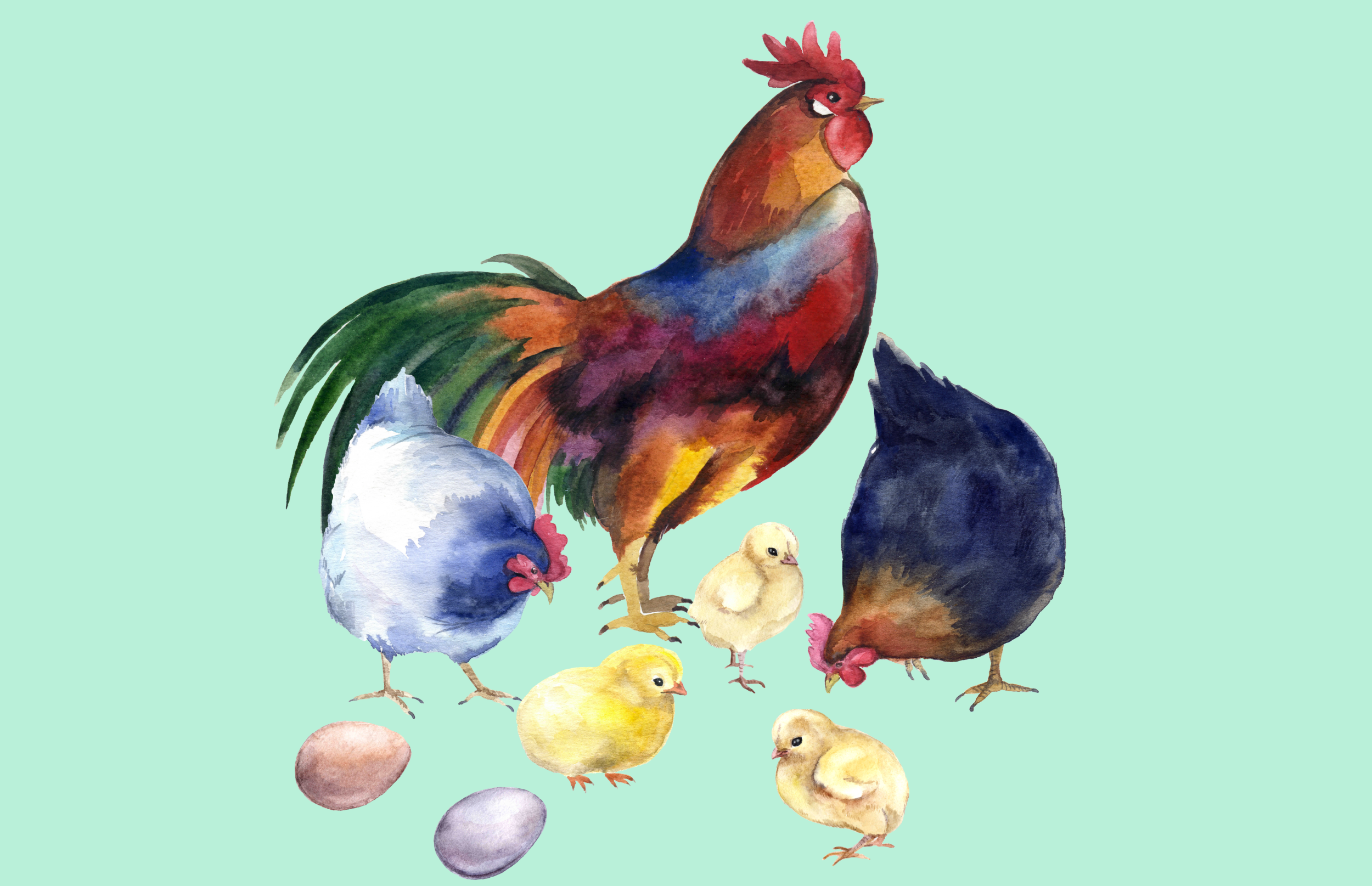 Didja know...? – Go Chick, Go